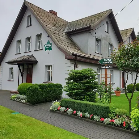 Проживание в семье Bluszcz